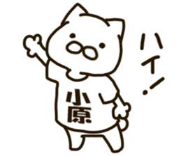 KOHARA-cat sticker #12799127