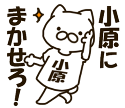 KOHARA-cat sticker #12799128
