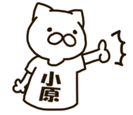 KOHARA-cat sticker #12799129