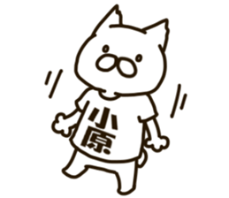 KOHARA-cat sticker #12799130