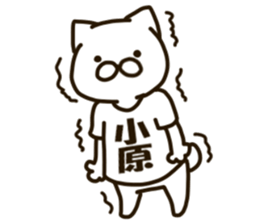 KOHARA-cat sticker #12799131