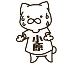 KOHARA-cat sticker #12799133