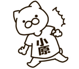 KOHARA-cat sticker #12799134