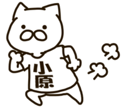 KOHARA-cat sticker #12799135