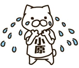 KOHARA-cat sticker #12799136