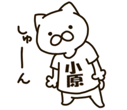 KOHARA-cat sticker #12799137