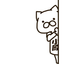 KOHARA-cat sticker #12799138