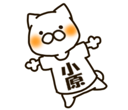 KOHARA-cat sticker #12799139