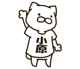 KOHARA-cat sticker #12799140