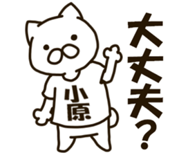 KOHARA-cat sticker #12799141