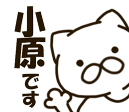KOHARA-cat sticker #12799145