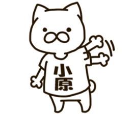 KOHARA-cat sticker #12799148