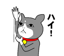 cat nyankiti sticker #13243674