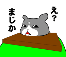 cat nyankiti sticker #13243679