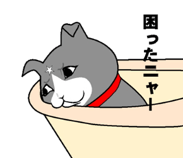 cat nyankiti sticker #13243685