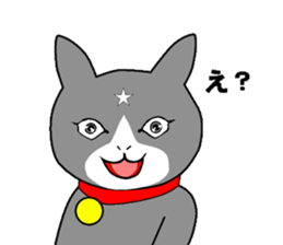 cat nyankiti sticker #13243695