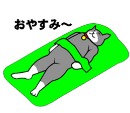 cat nyankiti sticker #13243696