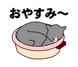 cat nyankiti sticker #13243703