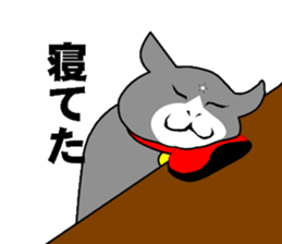cat nyankiti sticker #13243706