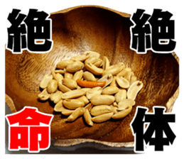 Kaki & Peanuts sticker #13492521