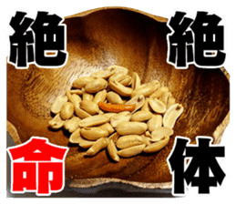 Kaki & Peanuts sticker #13492521