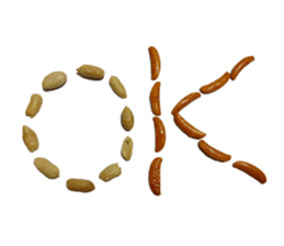 Kaki & Peanuts sticker #13492527