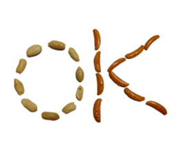 Kaki & Peanuts sticker #13492527