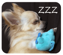 Lazy Chihuahua bambi sticker #13532804