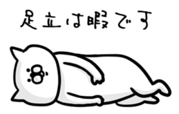 ADACHI only sticker #13561253