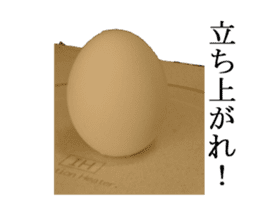 Opinion of eggs sticker #13866376