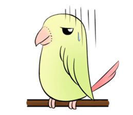 A parrot sticker #14020227