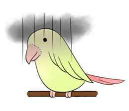 A parrot sticker #14020228