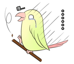 A parrot sticker #14020229