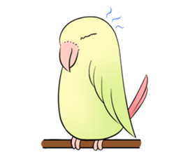 A parrot sticker #14020231