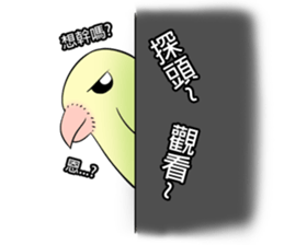 A parrot sticker #14020235