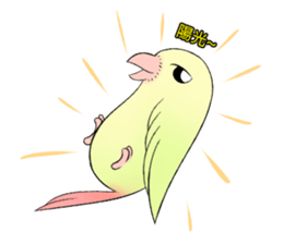 A parrot sticker #14020237