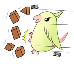 A parrot sticker #14020239