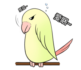 A parrot sticker #14020243