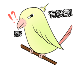A parrot sticker #14020247