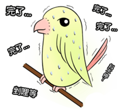 A parrot sticker #14020254