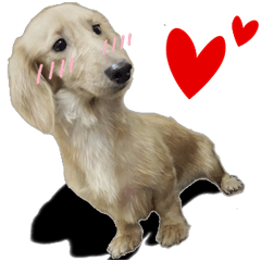 The sausage moves up