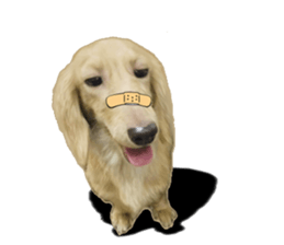 The sausage moves up sticker #14045846