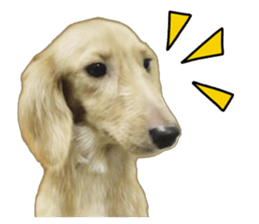 The sausage moves up sticker #14045847