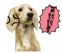 The sausage moves up sticker #14045848