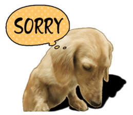 The sausage moves up sticker #14045851