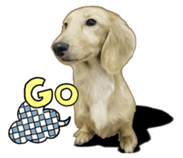 The sausage moves up sticker #14045852