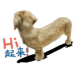 The sausage moves up sticker #14045853