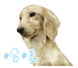 The sausage moves up sticker #14045854