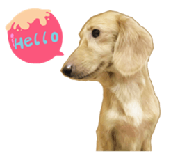 The sausage moves up sticker #14045856