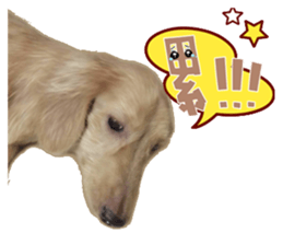 The sausage moves up sticker #14045857